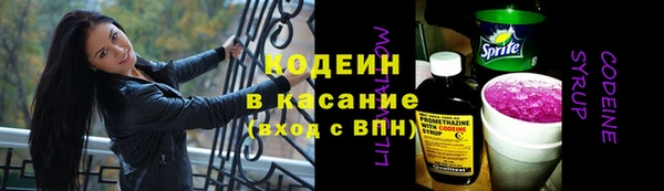 прущие грибы Верея
