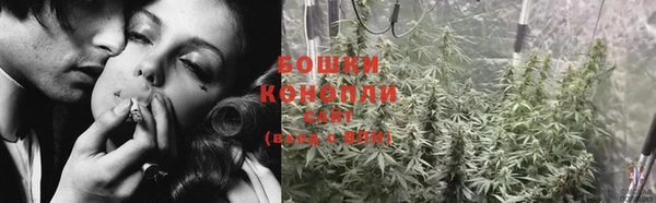 твердый Володарск